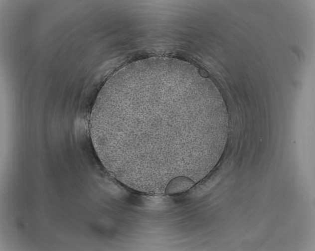 X0000112760432200909101534