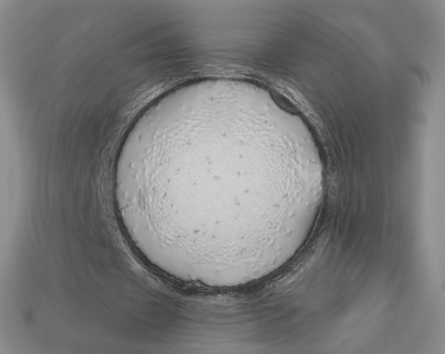 X0000112760433200909101533