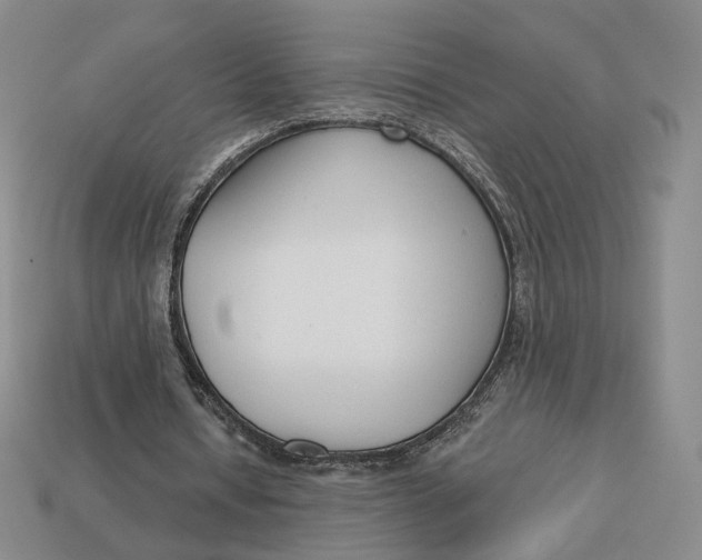 X0000112760434200909101533