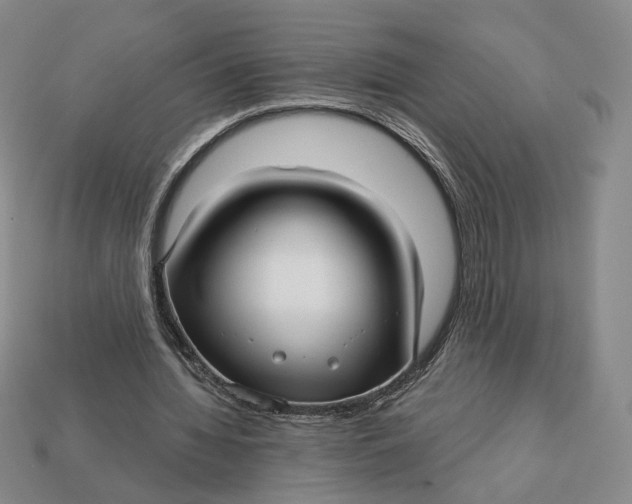 X0000112760436200909101533