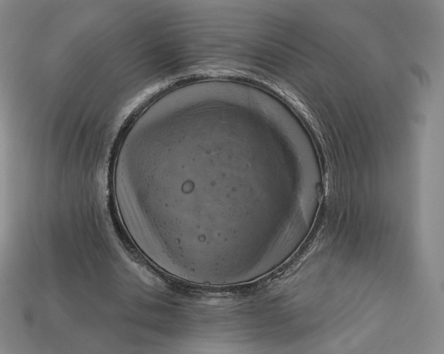 X0000112760438200909101533