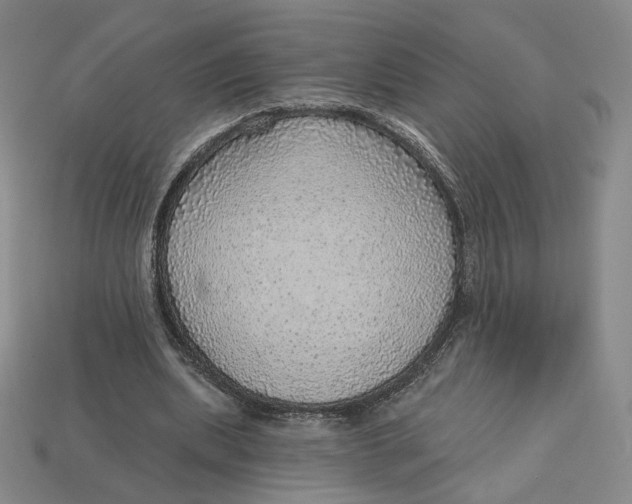 X0000112760439200909101533