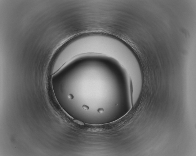 X0000112760440200909101533
