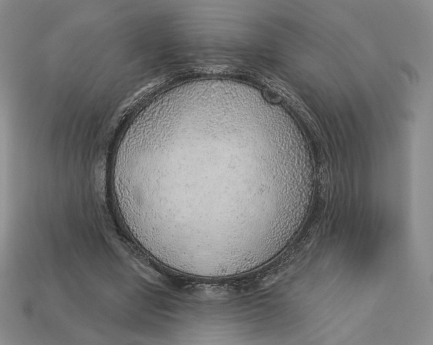 X0000112760442200909101533