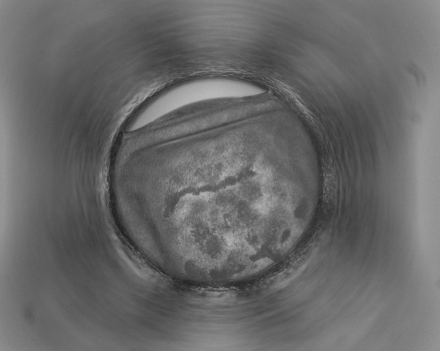 X0000112760443200909101533