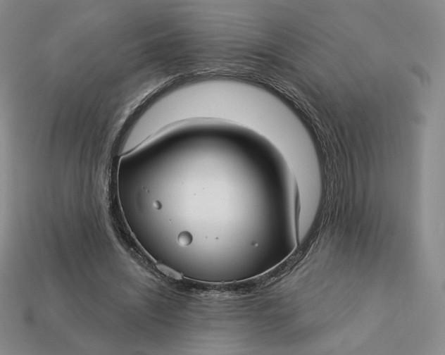 X0000112760444200909101533