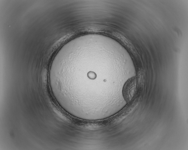 X0000112760445200909101533