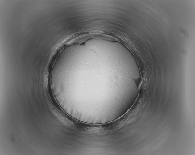 X0000112760446200909101533