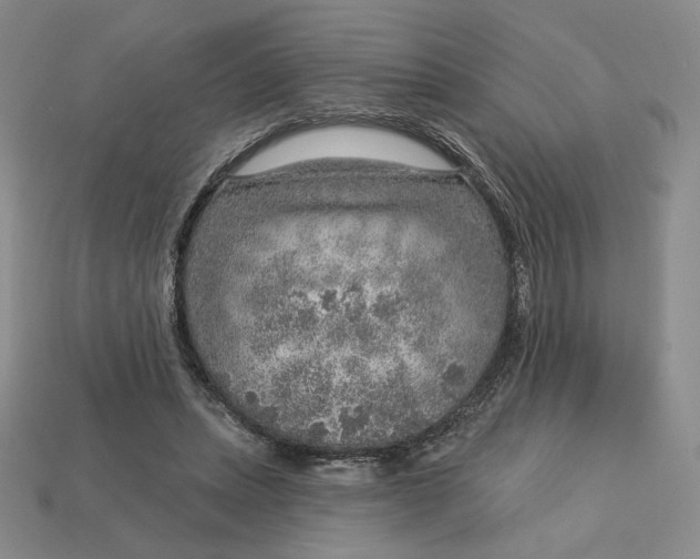 X0000112760447200909101533