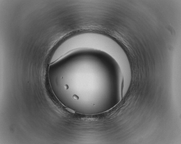 X0000112760448200909101533
