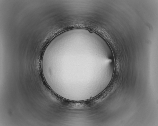 X0000112760449200909101533