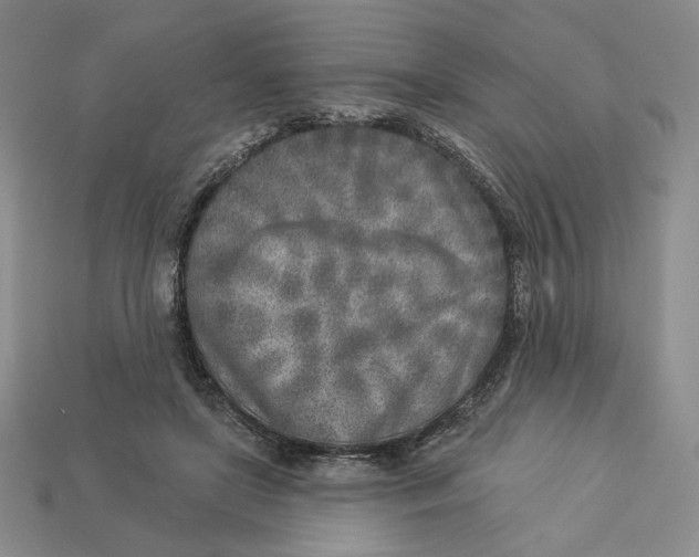 X0000112760451200909101533