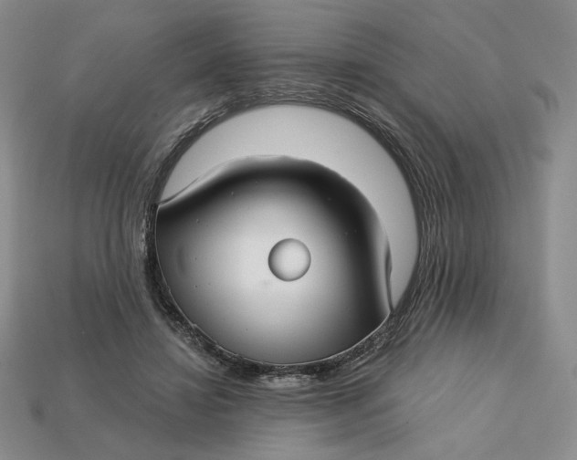 X0000112760452200909101533
