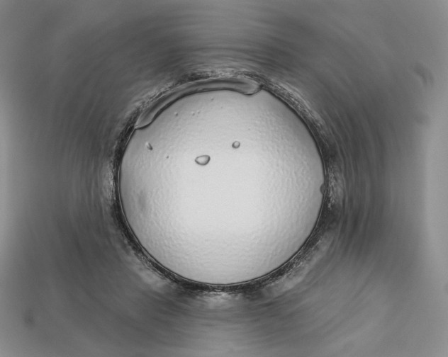 X0000112760453200909101533