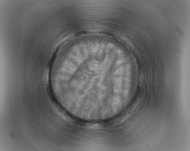 X0000112760454200909101533