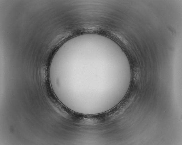 X0000112760455200909101533