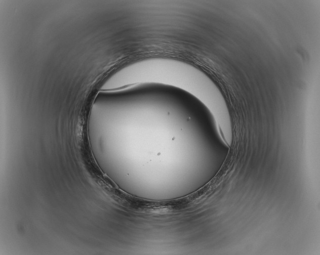 X0000112760456200909101533