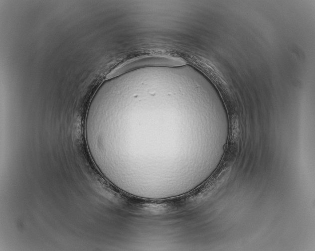 X0000112760457200909101534