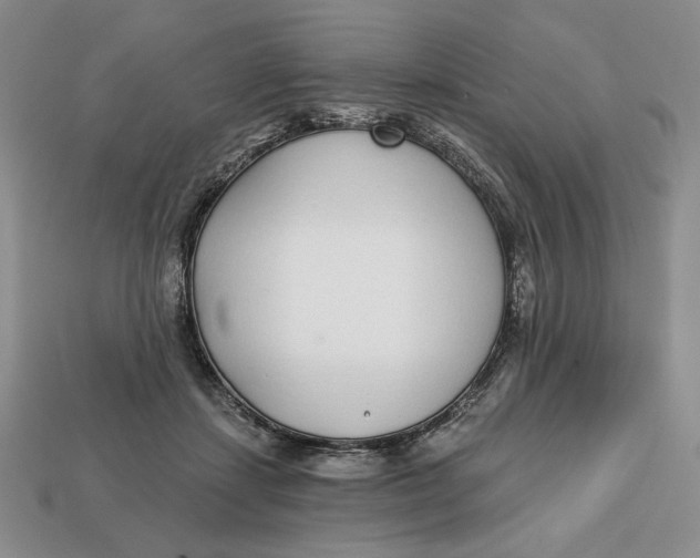 X0000112760459200909101534