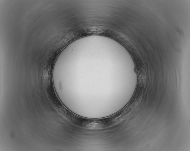 X0000112760460200909101534