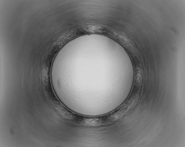 X0000112760461200909101534