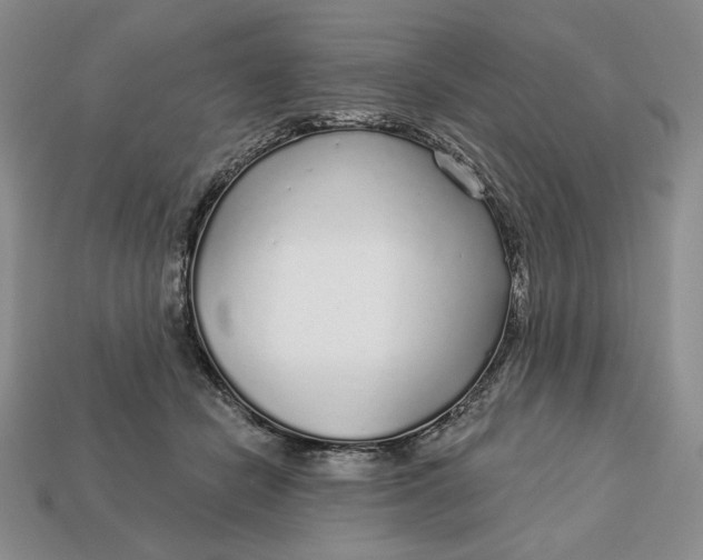 X0000112760462200909101534