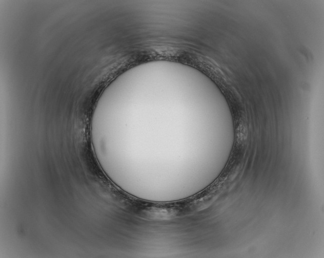 X0000112760464200909101534