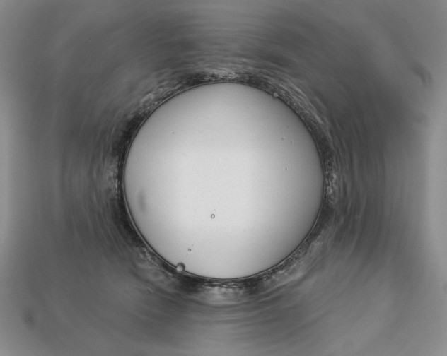 X0000112760466200909101534