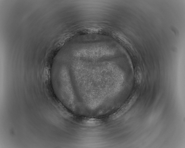 X0000112760467200909101534