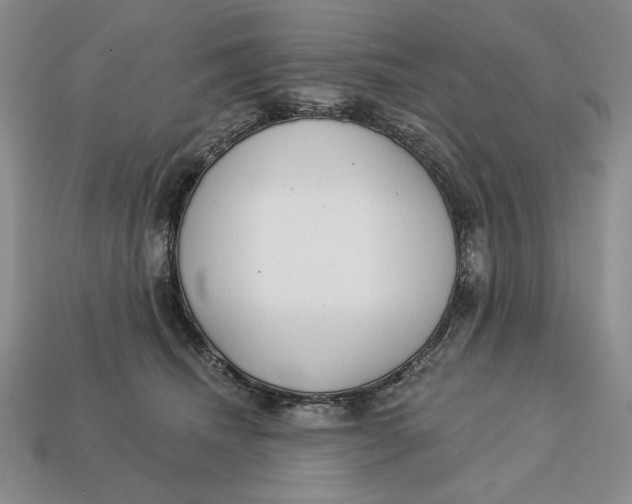 X0000112760468200909101534