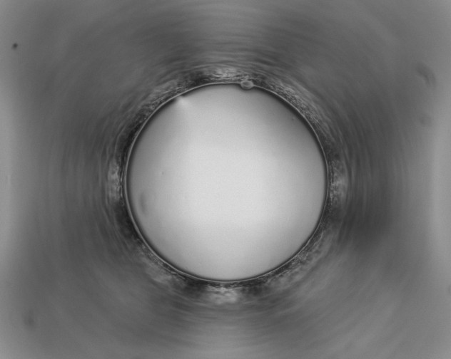 X0000112760469200909101534