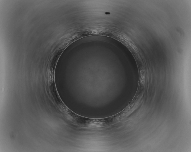 X0000112760471200909101534