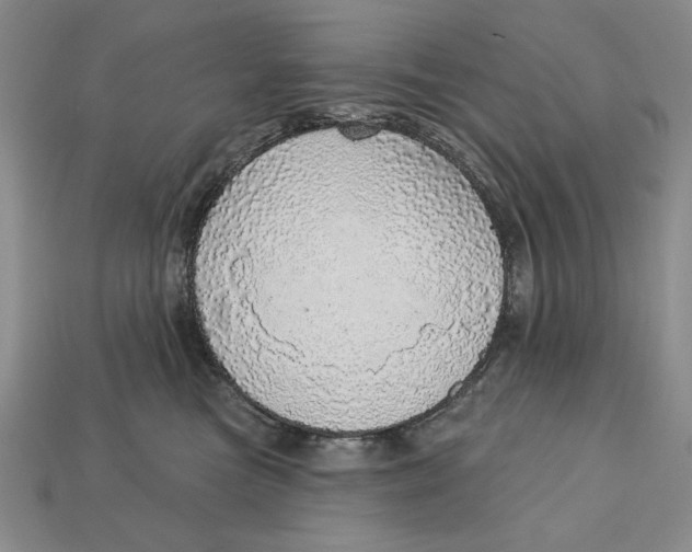 X0000112760473200909101534