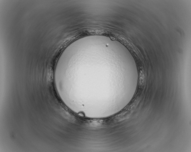 X0000112760474200909101534