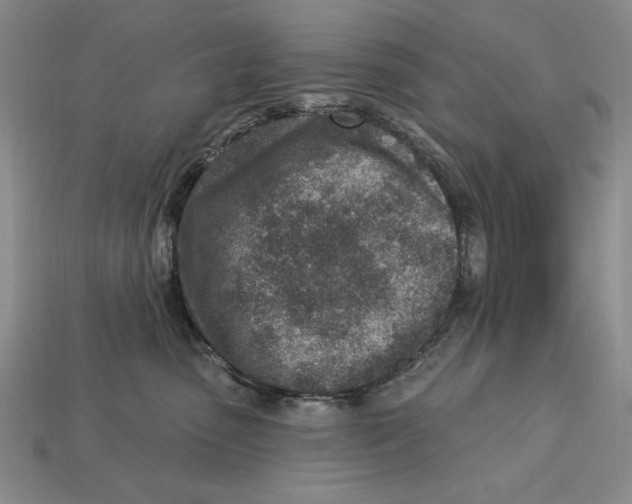 X0000112760475200909101534