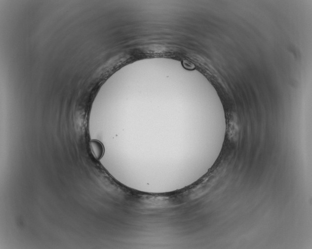 X0000112760476200909101534