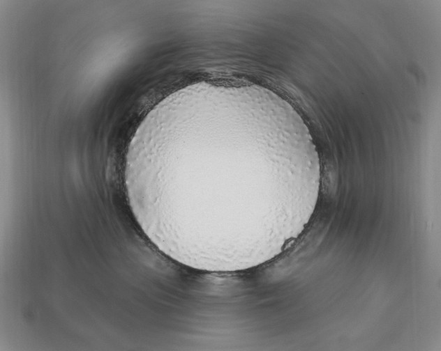 X0000112760477200909101534