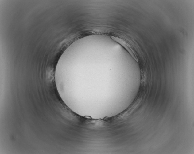 X0000112760478200909101534