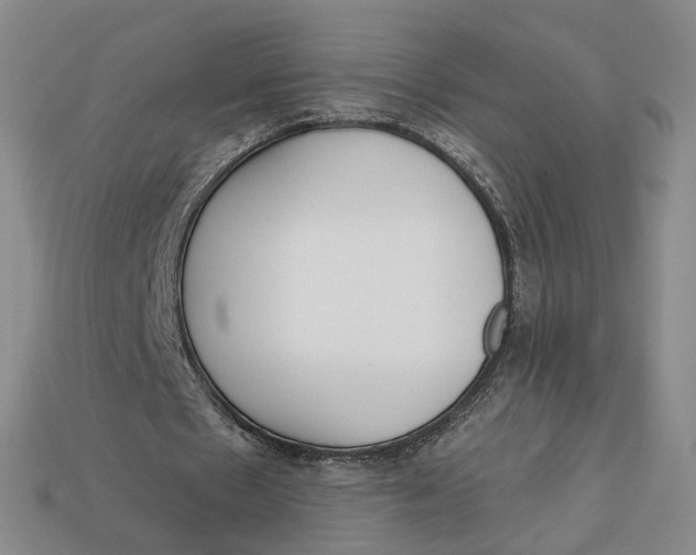 X0000112760481200909101533