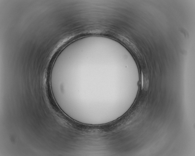 X0000112760483200909101533