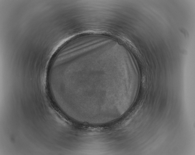 X0000112760484200909101533