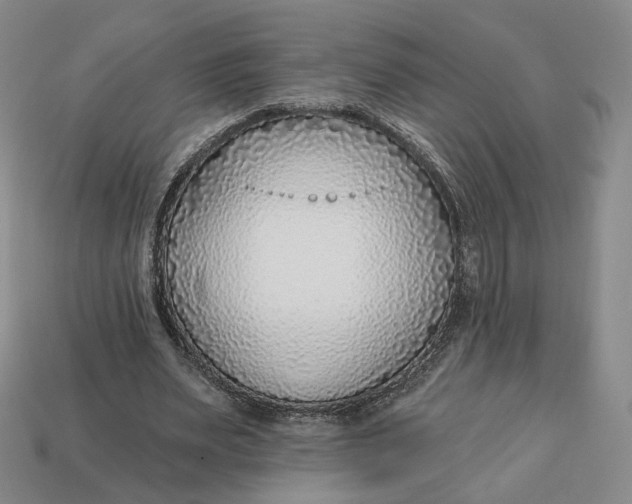 X0000112760487200909101533