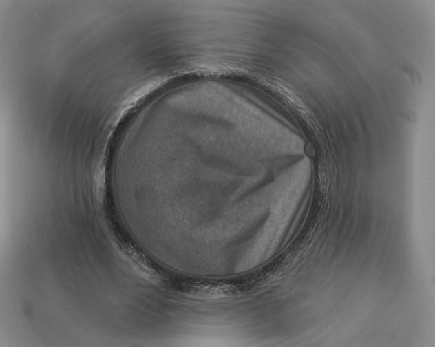 X0000112760488200909101533
