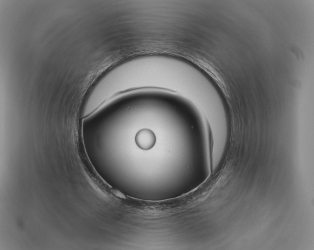 X0000112760489200909101533