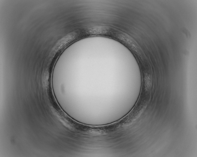 X0000112760490200909101533