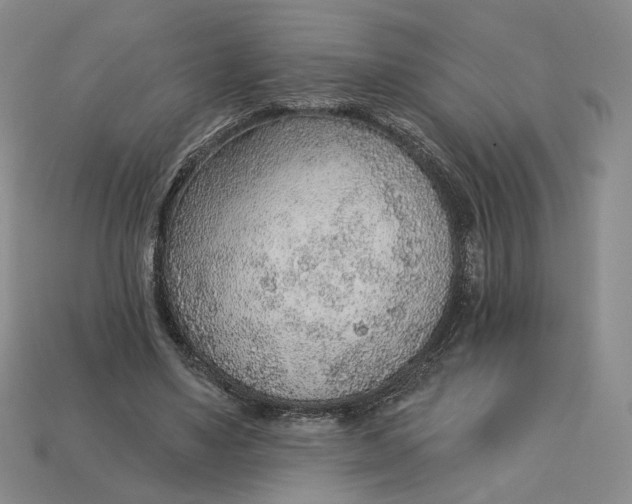 X0000112760491200909101533