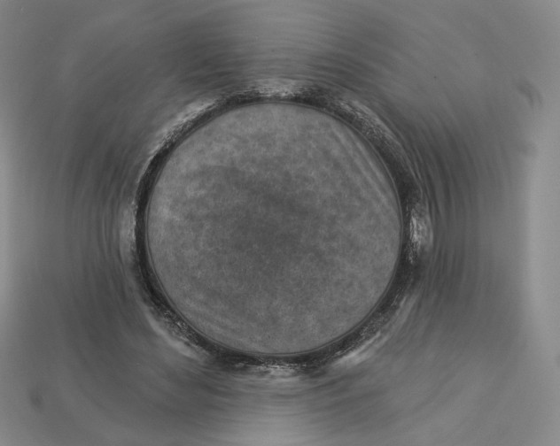X0000112760492200909101533