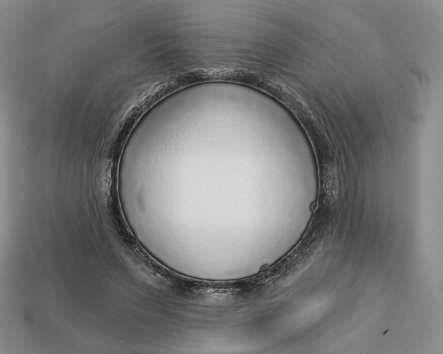 X0000112760495200909101533