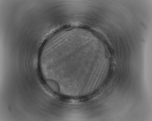 X0000112760496200909101533
