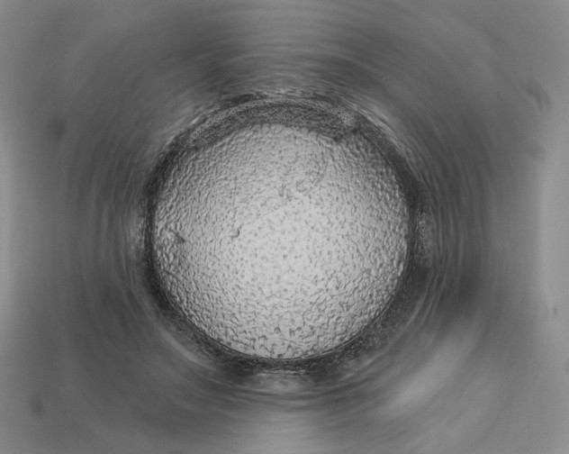 X0000112760499200909101533